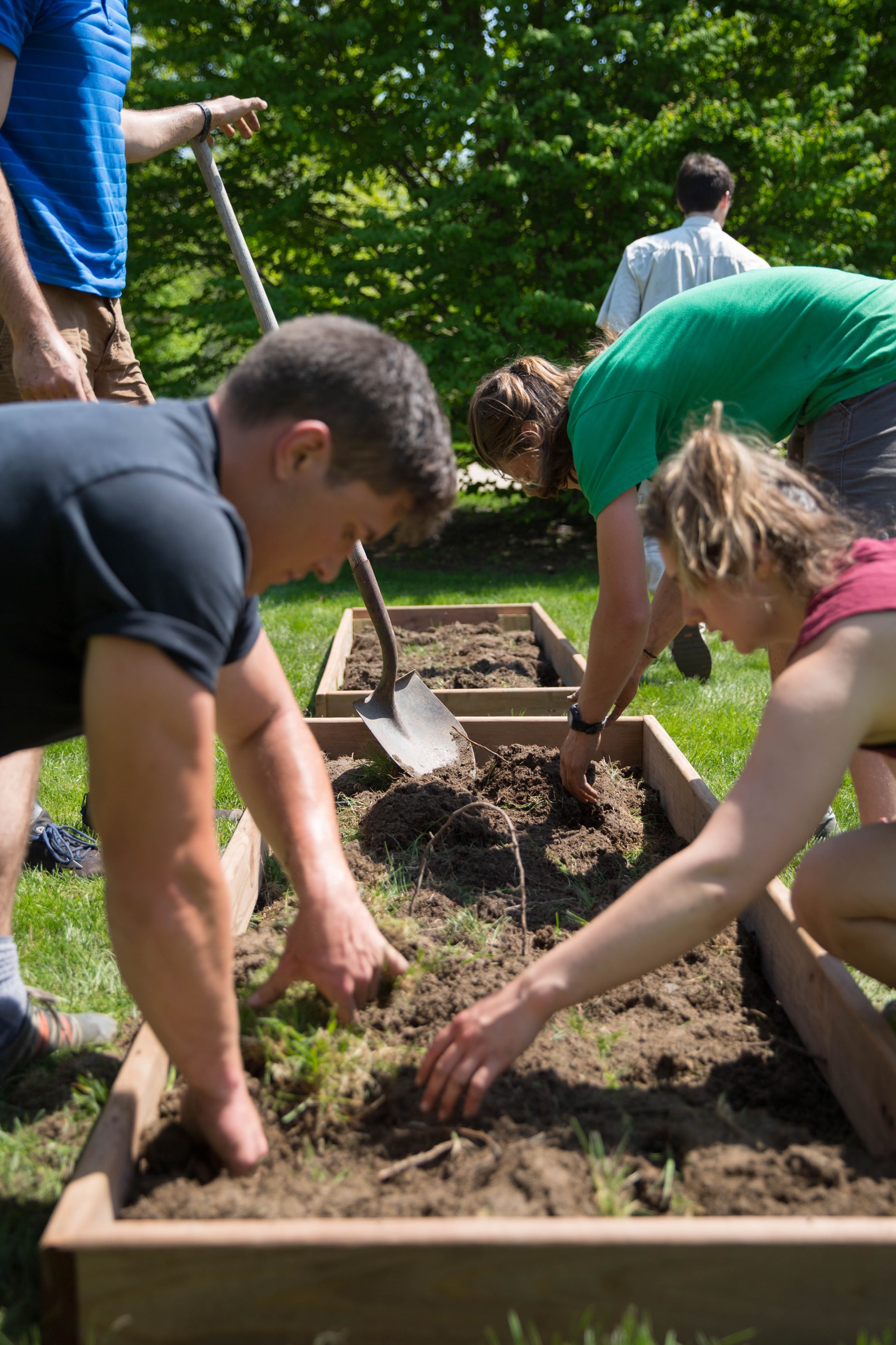 Farm Crew digs up soil and puts box gardens in